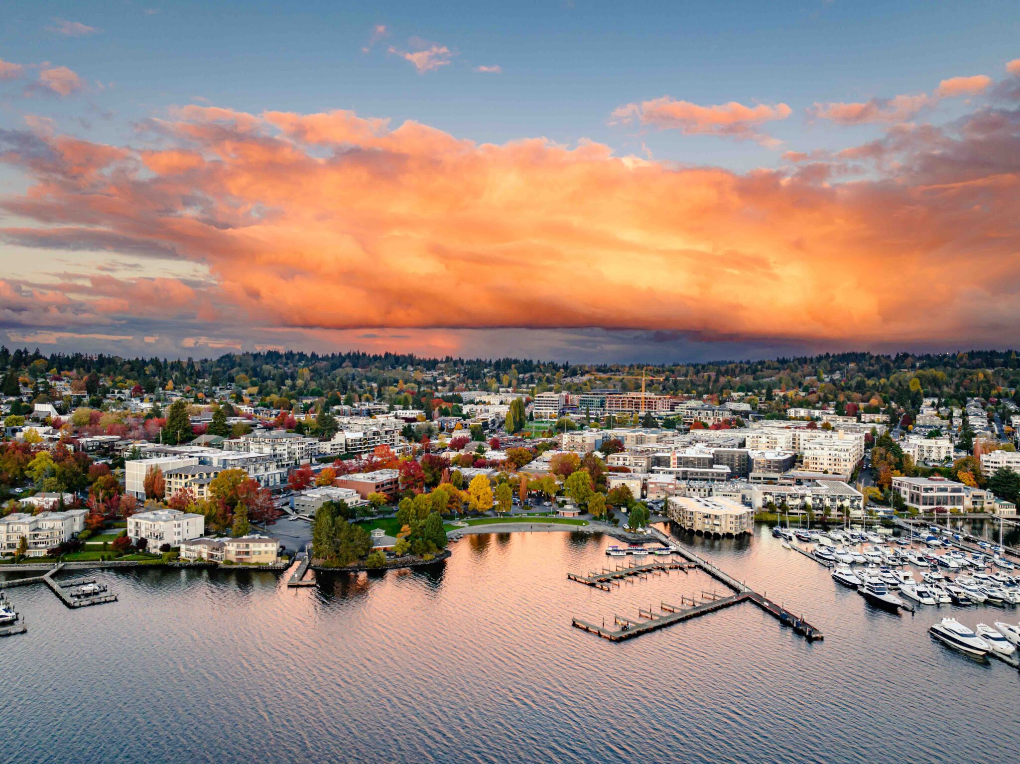 Kirkland Near Me Convenient Shopping Experiences